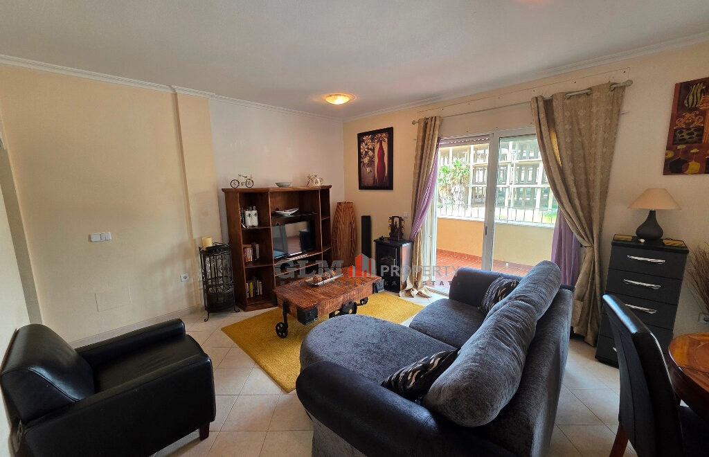 video image