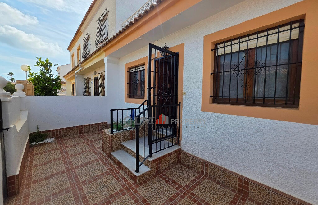 video image